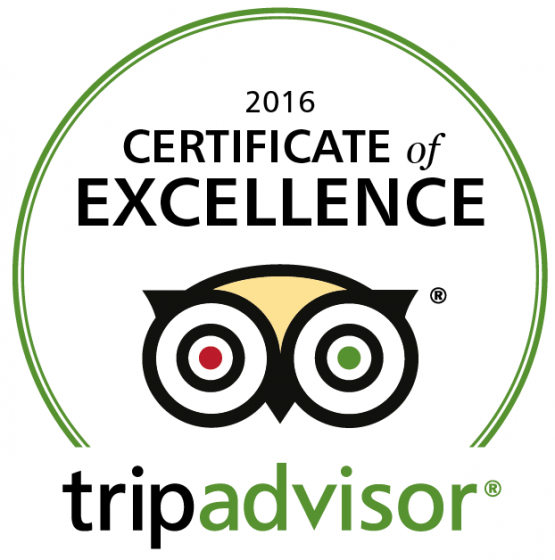 TripAdvisor Reviewer Certificate of Excellence