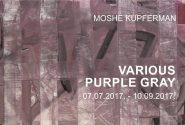 Moshe Kupferman VARIOUS PURPLE GRAY